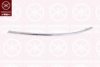 KLOKKERHOLM 0014923 Trim/Protective Strip, bumper